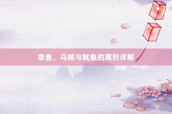 章鱼、乌贼与鱿鱼的离别详解