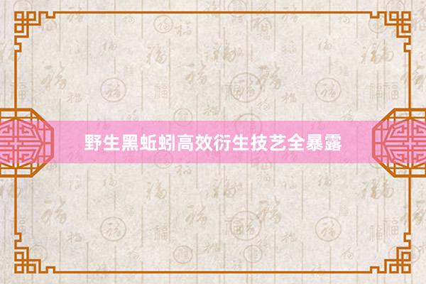 野生黑蚯蚓高效衍生技艺全暴露